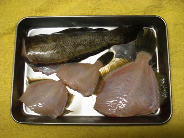 浜名湖　新居海釣り公園で釣れたカワハギとクジメorアイナメをさばいた後