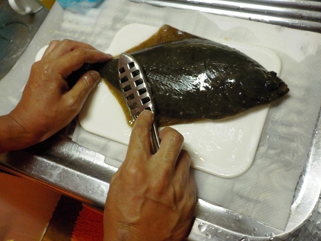 【鰈のさばき方】カレイを五枚におろす手順