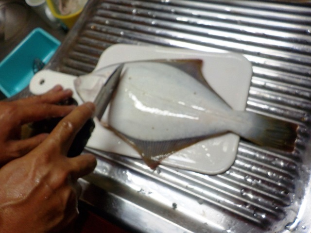 【鰈のさばき方】カレイを五枚におろす手順