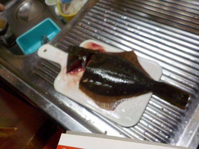 【鰈のさばき方】カレイを五枚におろす手順