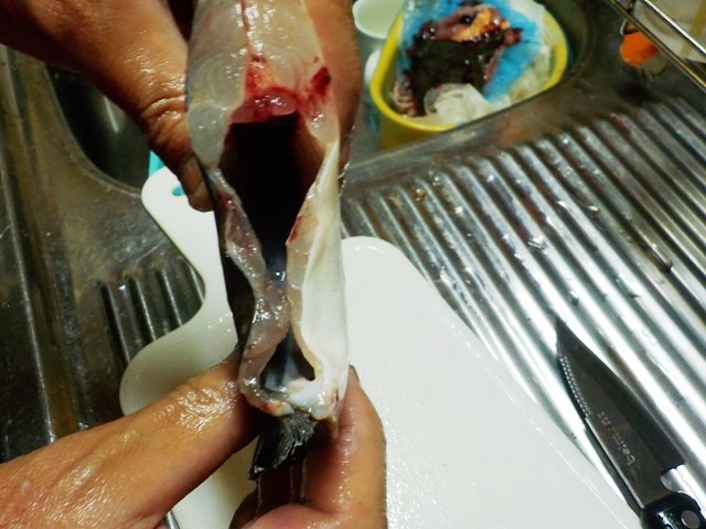 【鰈のさばき方】カレイを五枚におろす手順