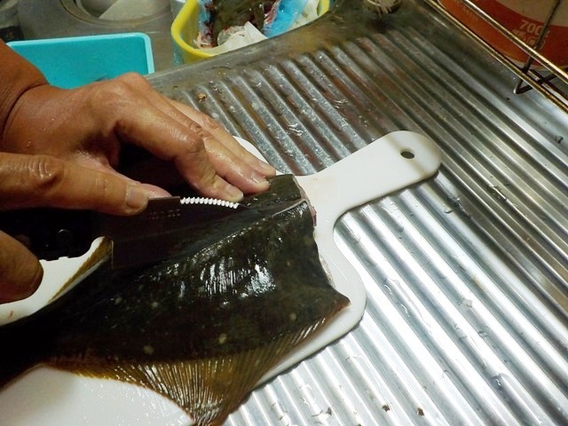 【鰈のさばき方】カレイを五枚におろす手順